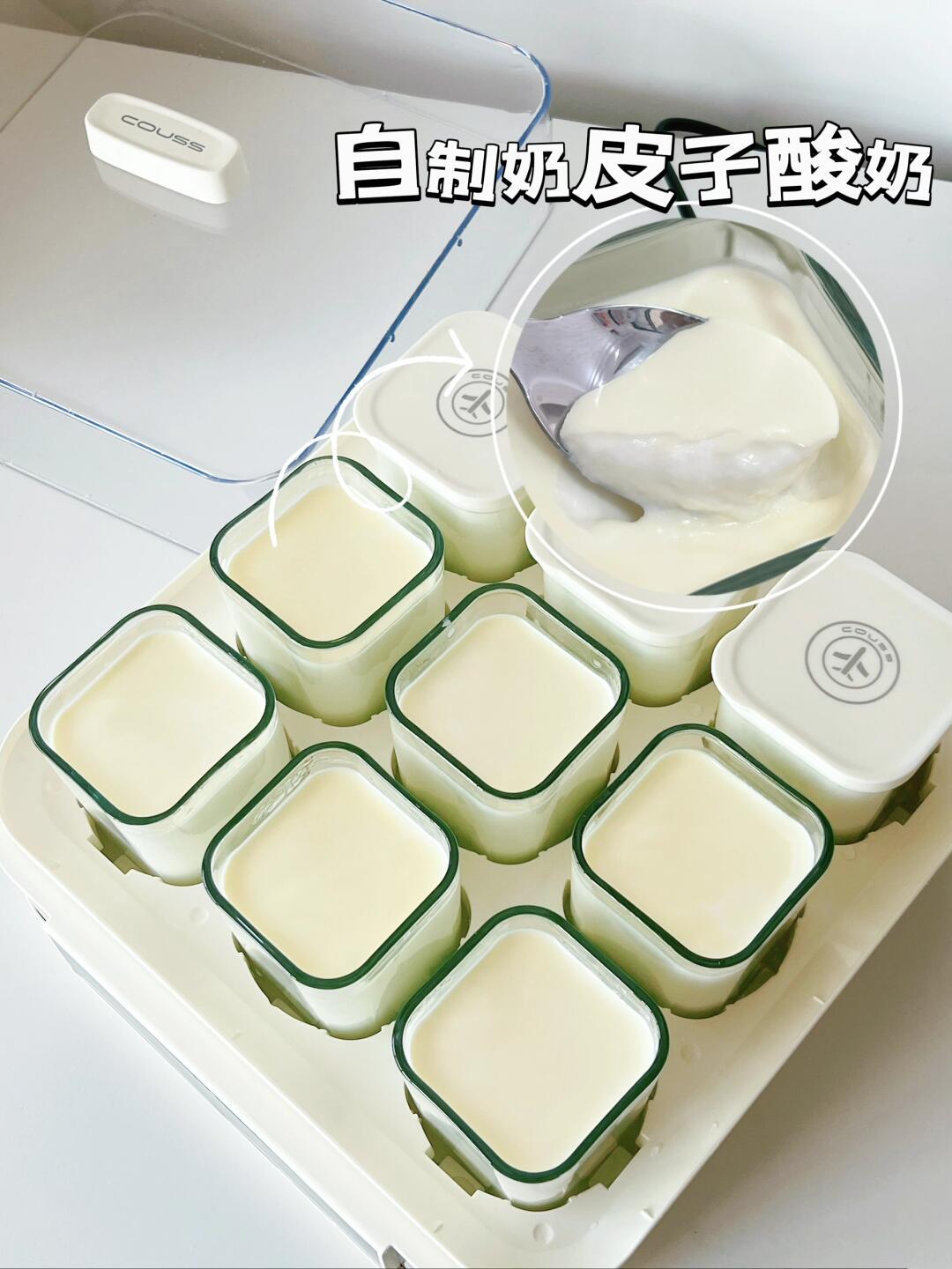 奶皮子酸奶原来这么好做！自制吃到爽！！