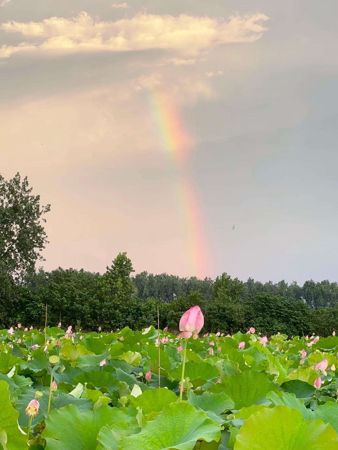 遇见彩虹🌈 