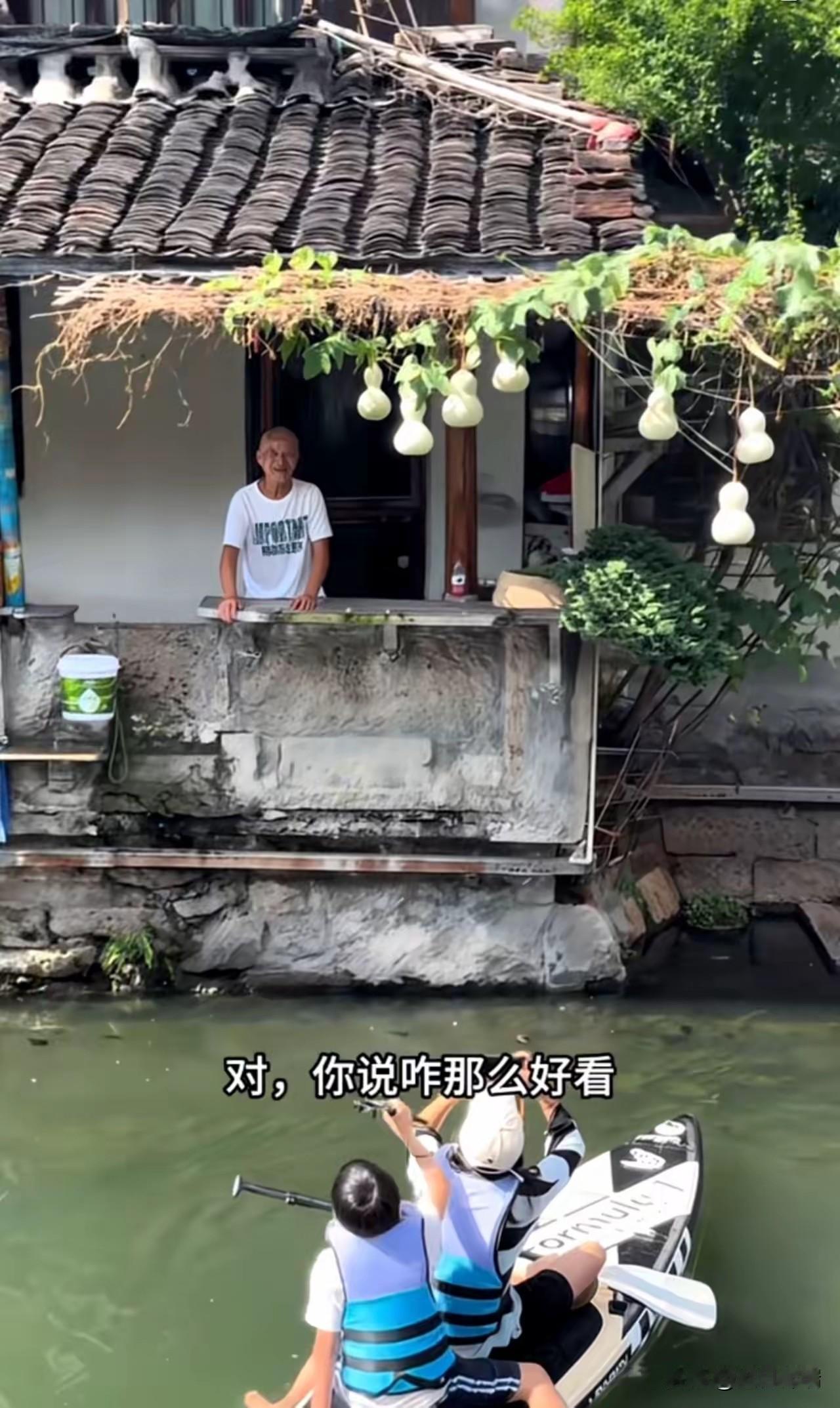 把我看哭了！75岁失独爷爷种出7个葫芦爆火，老伴泪崩：20多年没这么热闹了，是游