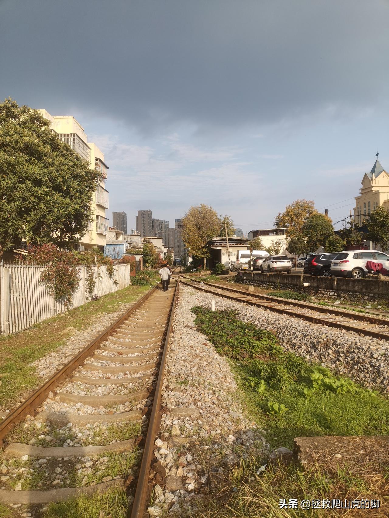 冬日生活打卡季记录生活中的点滴温暖