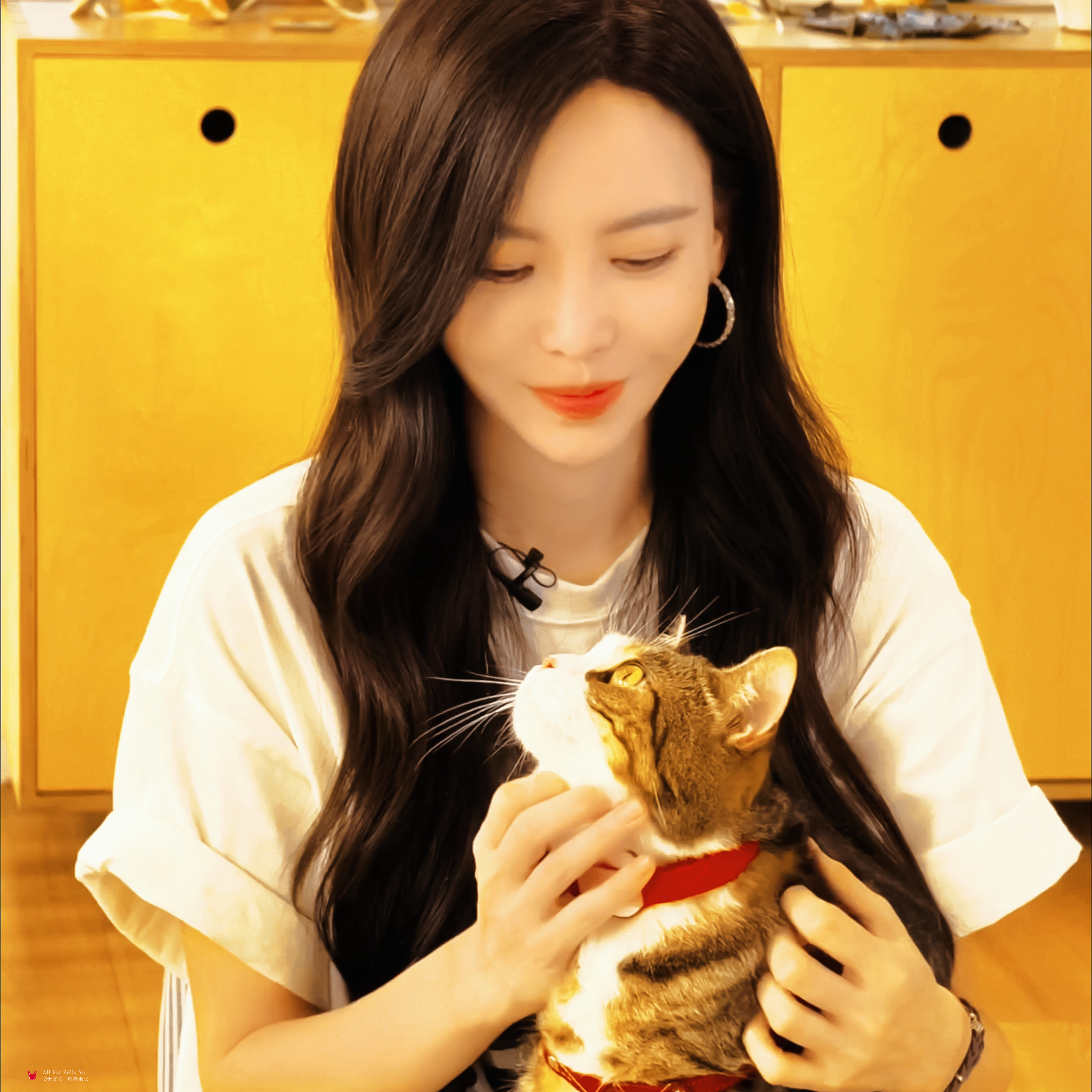 无尽的爱🌻🐾领养代替购买