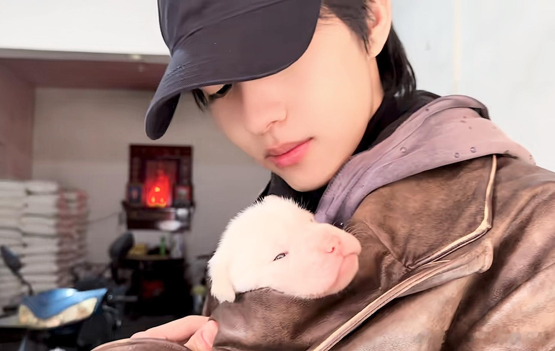 至今想象不出来刘铮有多爱小狗🐕🦺 