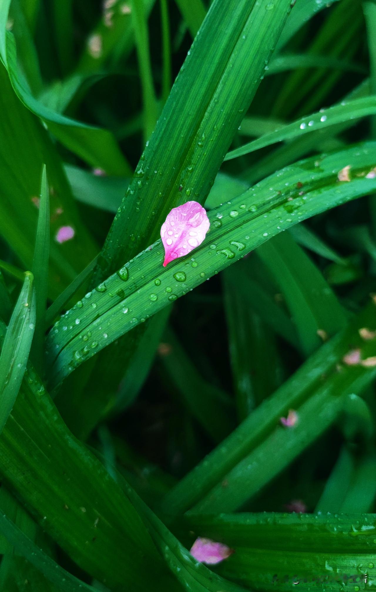昨天谈到婚姻关系和另一半，于是又想到一些年轻男女，生些感悟。

无论男女，最好不