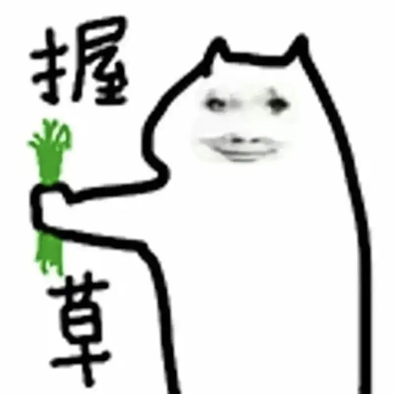 握草，国足输给了巴勒斯坦，一直与以色列打仗的那个国家，目前还不算正式国家，刚开始