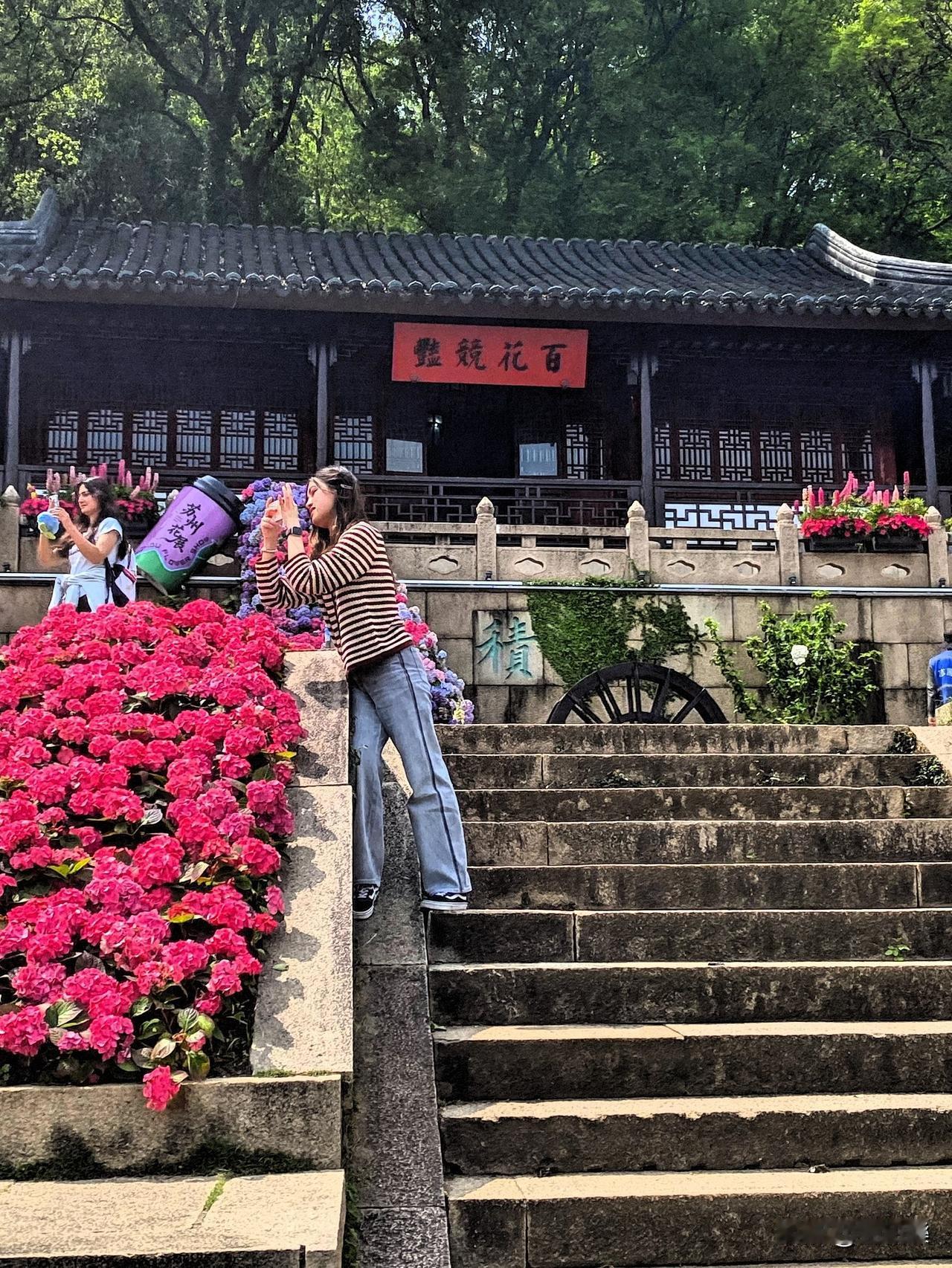 百花竞放
顺撷一朵