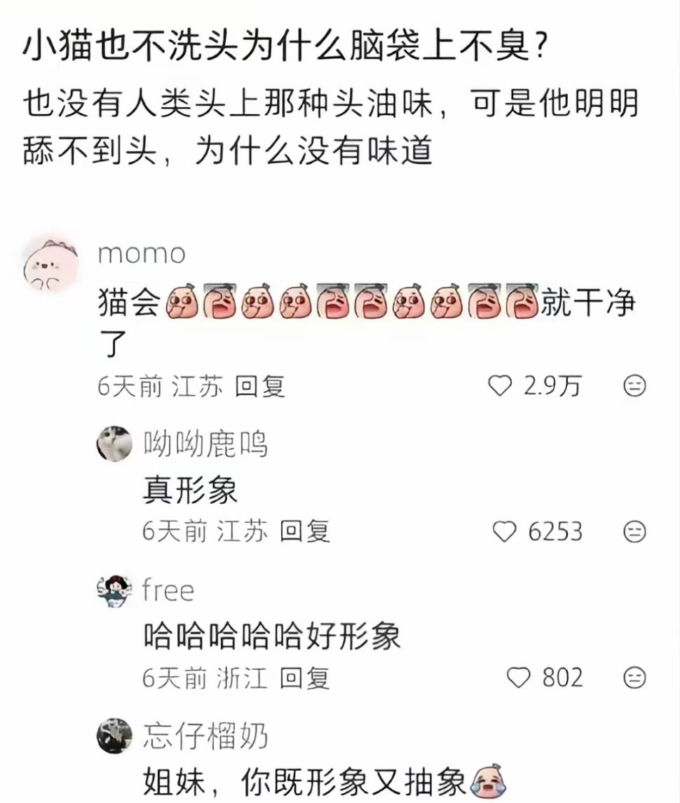 小猫也不洗头为什么脑袋上不臭？ 