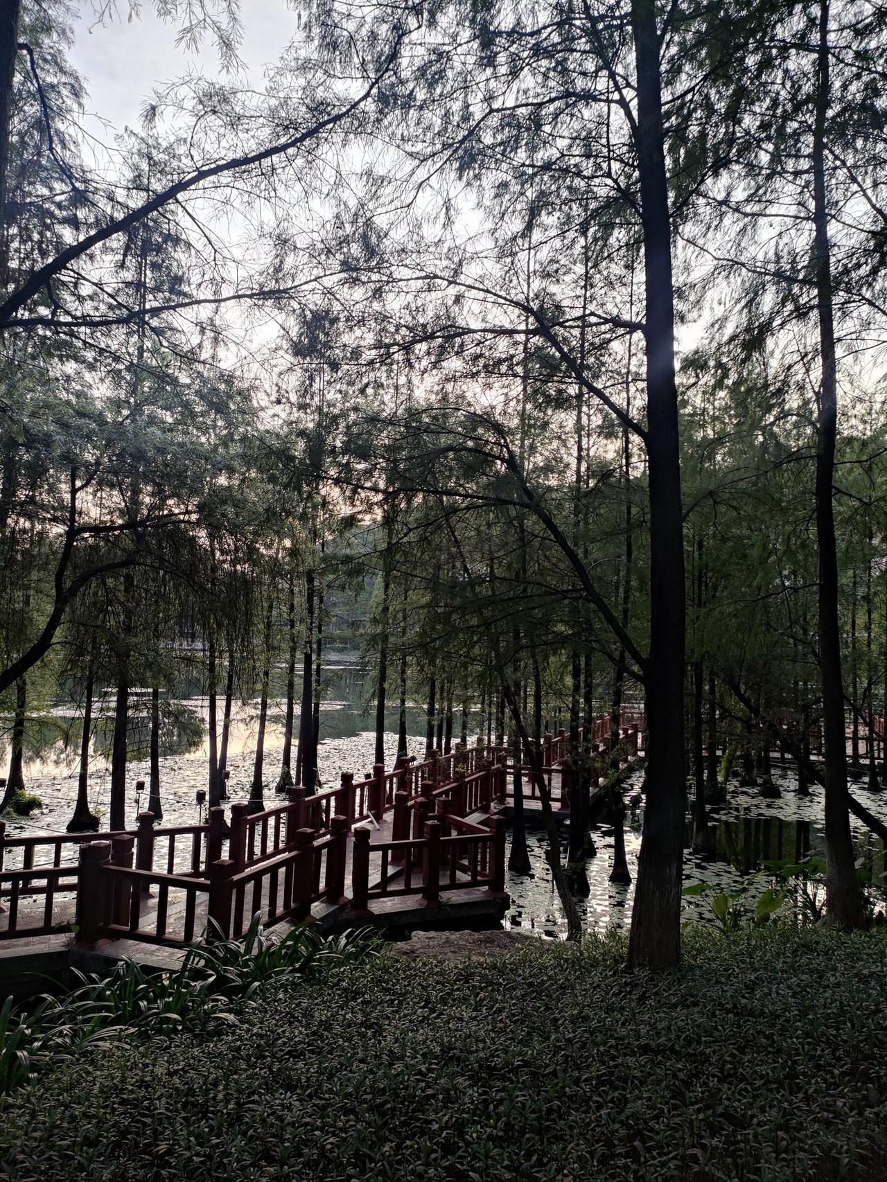 晒图笔记大赛很适合漫步了