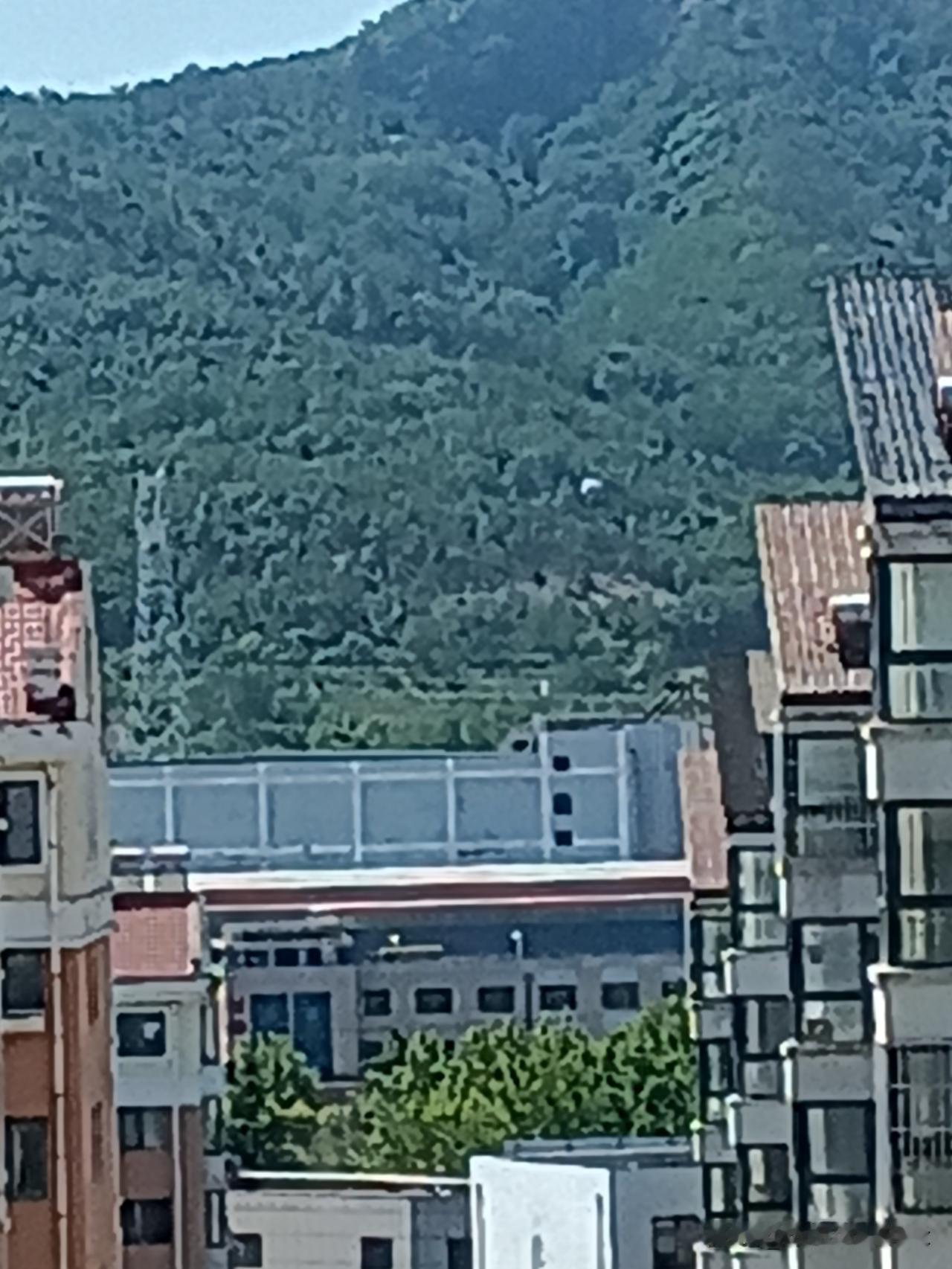 刚出去走了一圈 感觉不对劲，马上就回来了，威海今天30度高温。刚出去还行，一会功