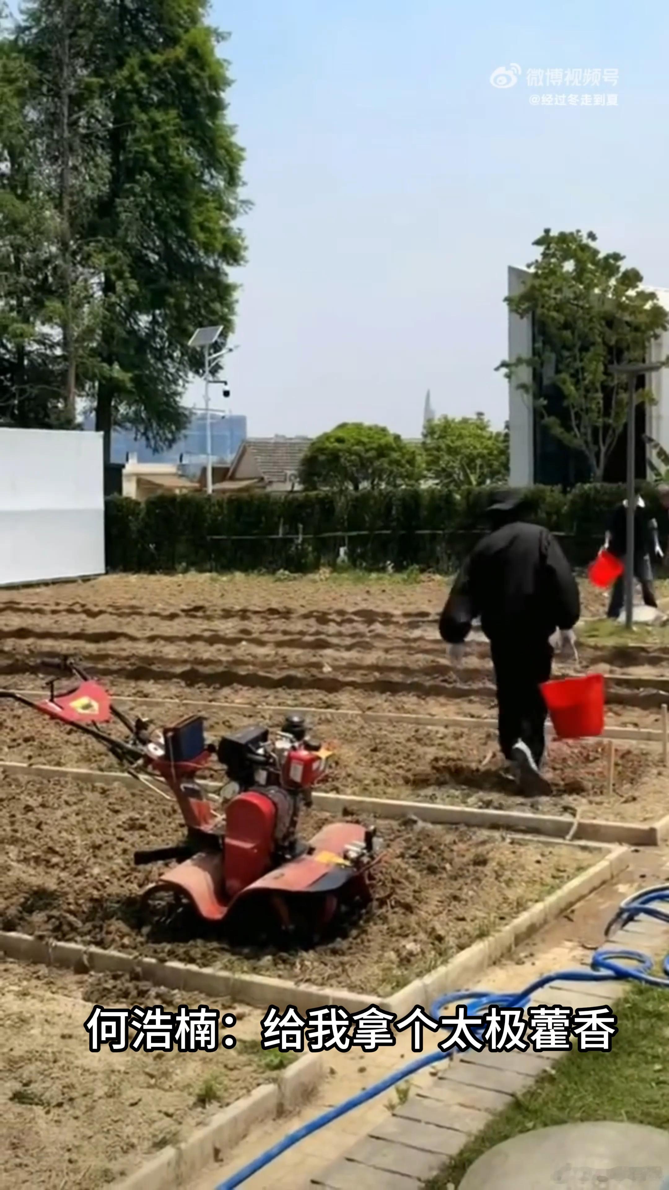 种地吧天选搭子含金量种地的人怕中暑，上班的人怕暑湿，出门玩的怕水土不服。 太极藿
