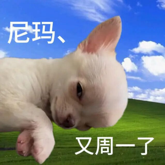 啊星期一，你为什么是星期一 
