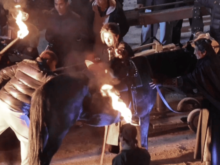 张凌赫 陈哲远 单手上马，这个动作好像确实挺高难度的，但是他俩都可以。所以能做到