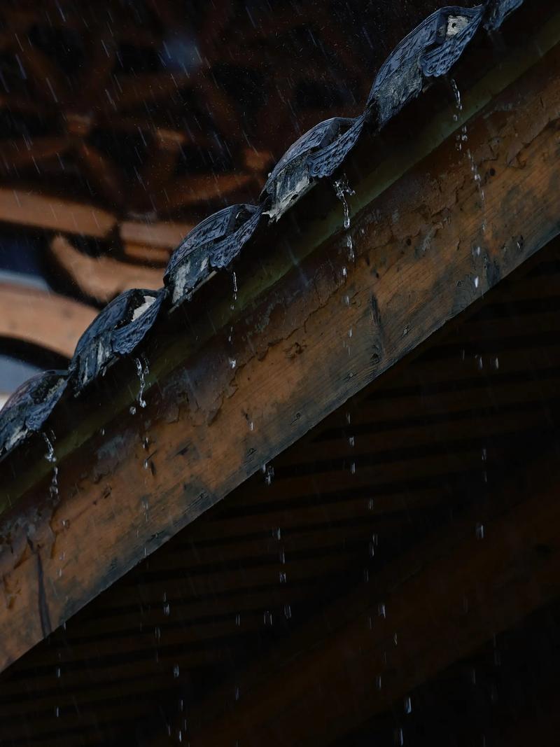 孤独，或许才是人生圆满的开始。
曾经的你或许喜欢呼朋引伴，
曾经的你或许喜欢觥筹