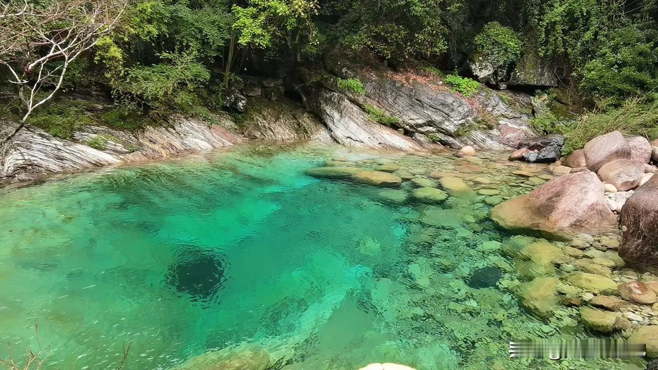 翡翠泉
翡翠谷里翡翠泉，
宛如月牙山中卧。
晶莹剔透绿油油，
走近仔细看一下，
