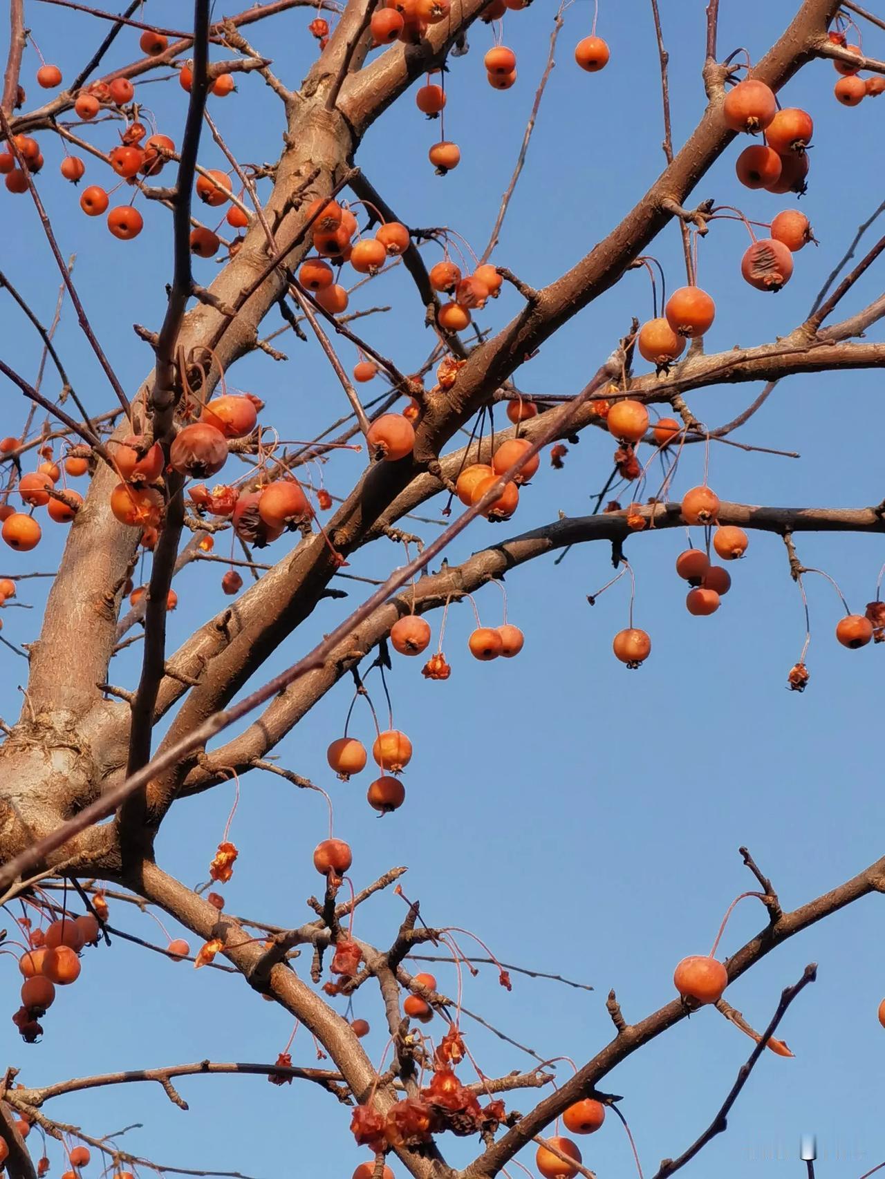 我去公园溜达
偶遇学生家长甜的爸妈
甜爸甜妈手挽手
说起甜甜两个人满脸幸福
甜甜