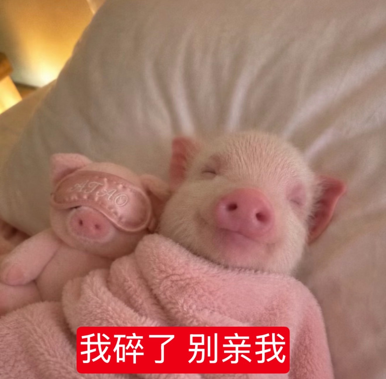 分享图片 ​​​