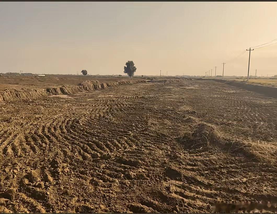 博野镇一取土点涉嫌私挖乱采 耕地遭破坏引关注  近日，有群众反映博野镇辖区内一处