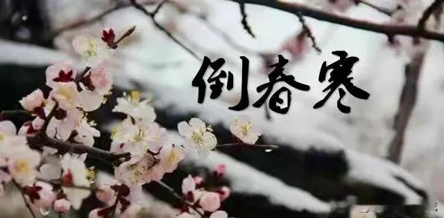 无雪不冬天

立春都过了，这个冬天都未见雪的影子。立春前不仅没有雪，一直都不怎么