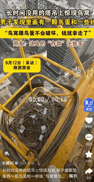 陕西西安，一男子长时间没有使用塔吊，当他再次上班时，发现塔吊里被喜鹊造了个窝，还
