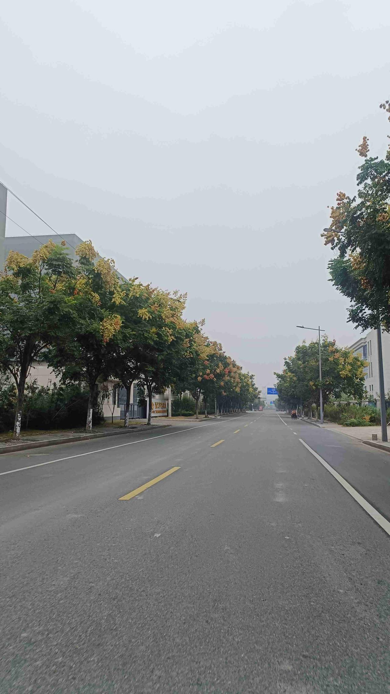 我的今日状态：🤧小感冒
我这里的天气：☁️阴天