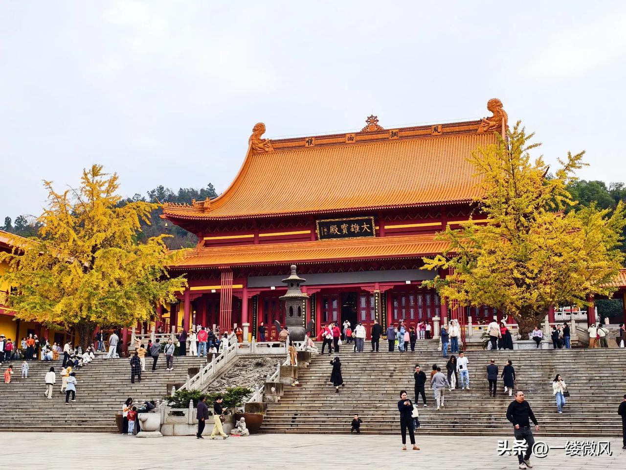 第一次去洗心禅寺，红墙黛瓦，银杏微黄，超级漂亮，随手一拍都像大片。
从门口进去，