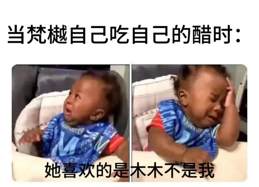 梵樾不语 只是一味闷气   和你们做网友每天就捡乐子了😂因为白鹿拍的敖瑞鹏状态