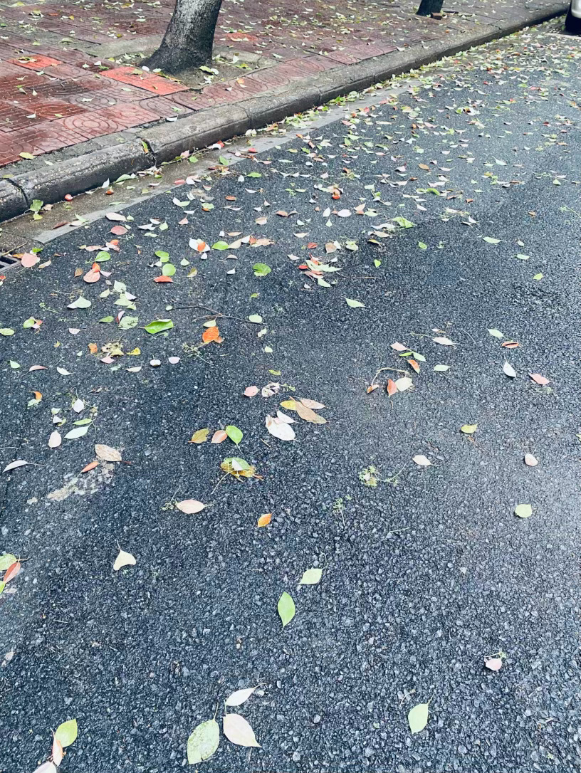 生活手记记录真实生活摄影摄影摄影 一场春雨悄然而至，润泽了南方城市的街巷。低头凝