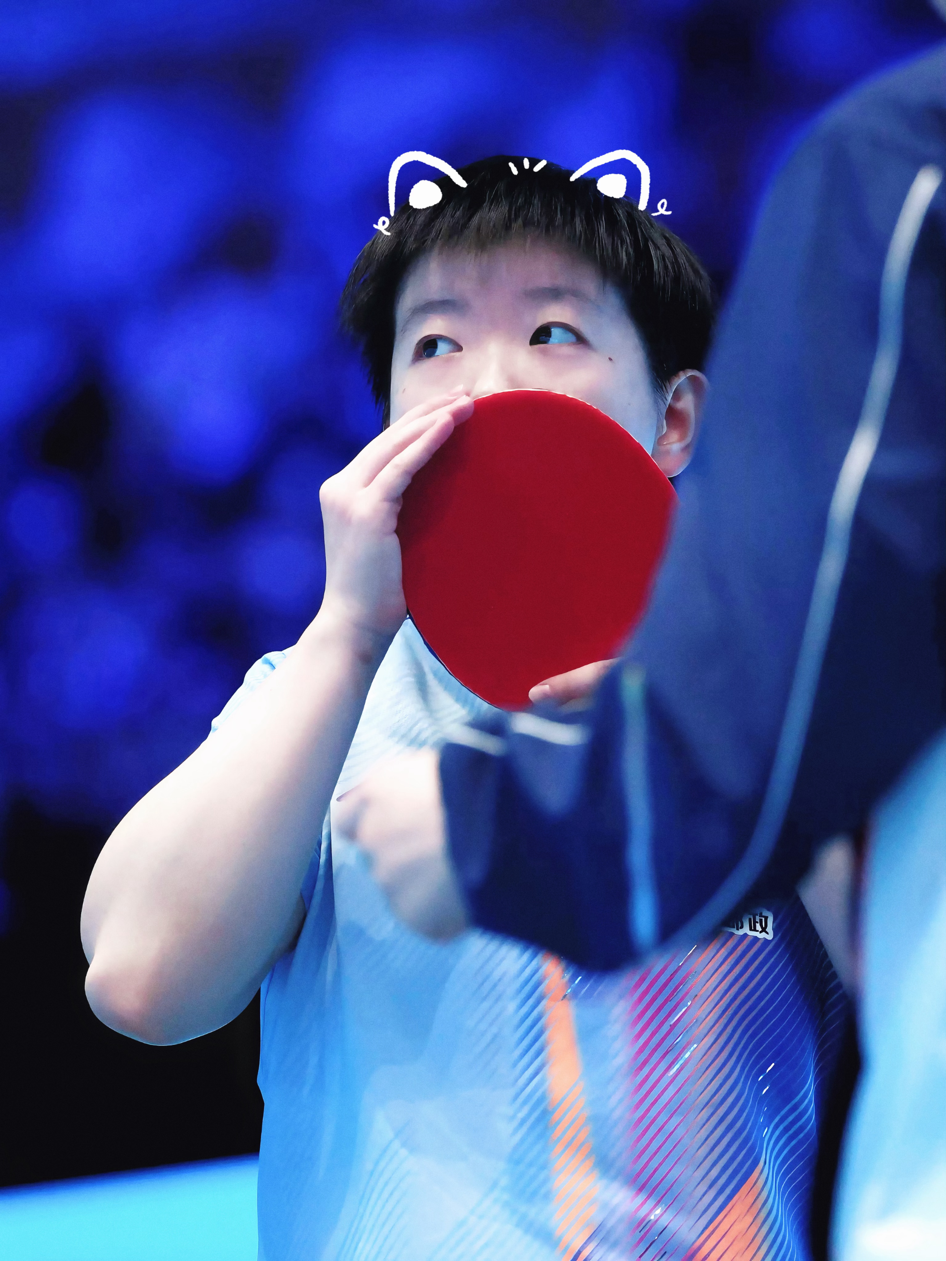 揉揉小猫头 万事不用愁 