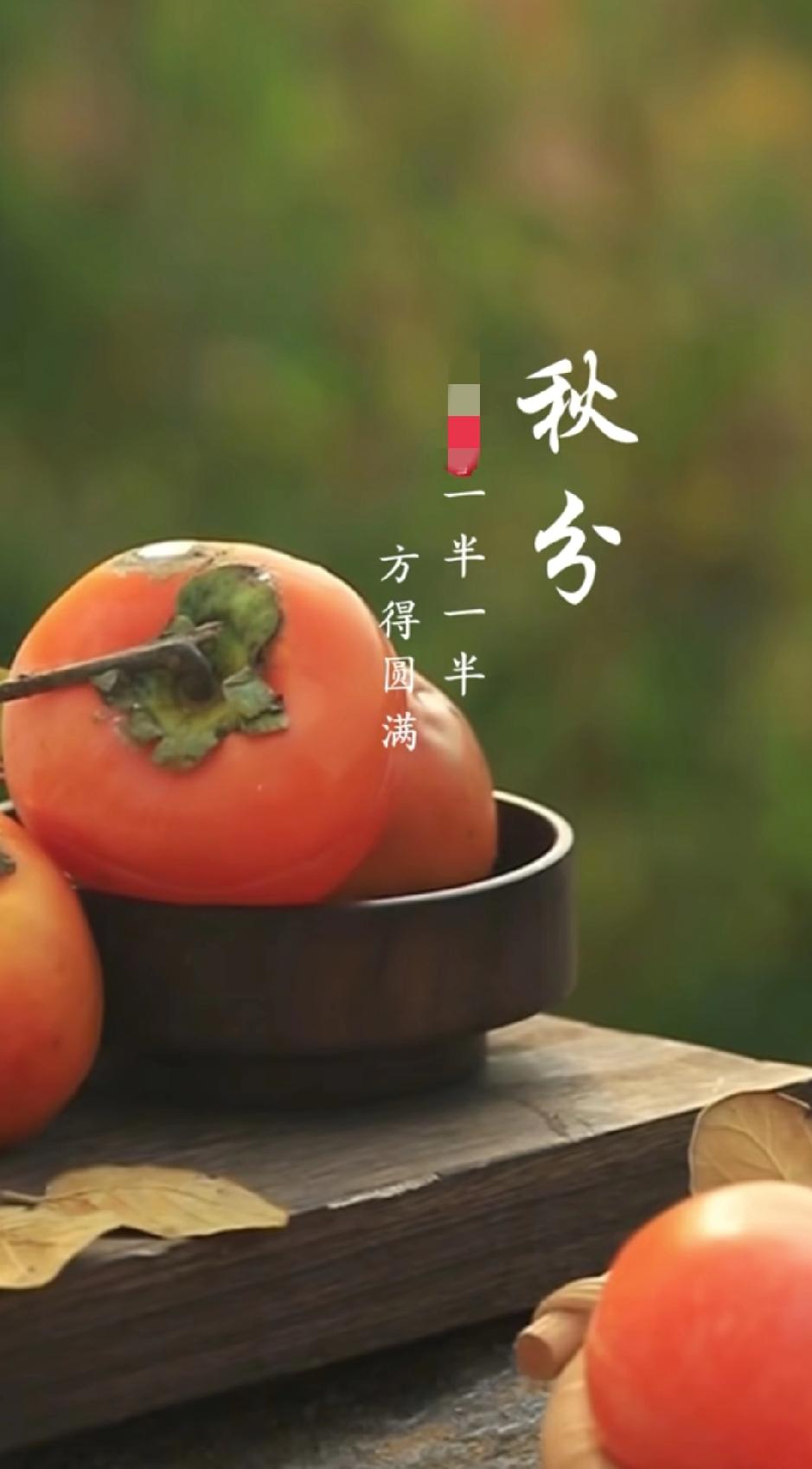 今日秋分
日子过得可真快啊
一转眼秋天已过半了
昼夜平分，一半一半，方得圆满
花