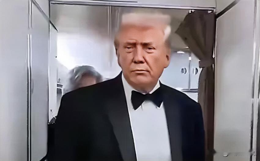 记者:“《华盛顿邮报》关于建造250英尺高拱门的报道，能谈谈这个吗？”

特朗普