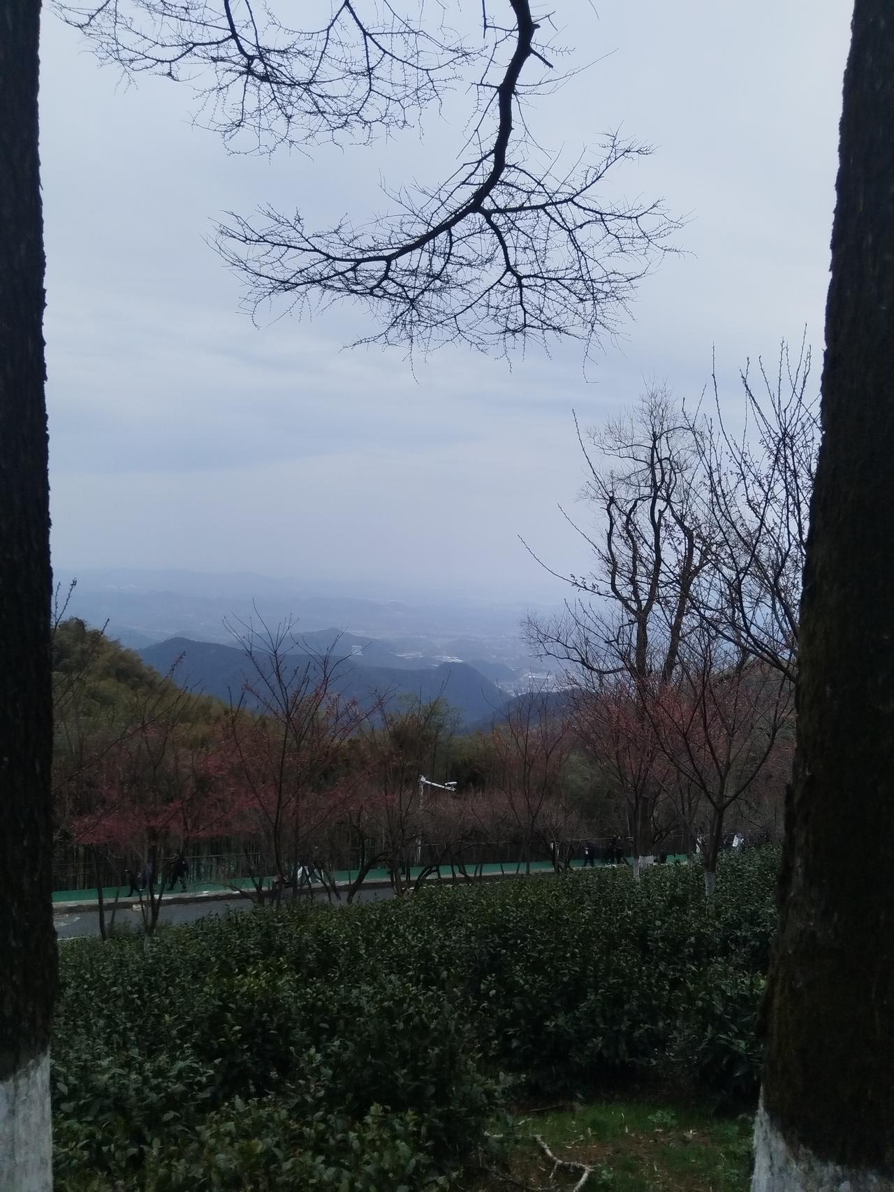 冬日山林，静谧悠然，远山如黛，人间仙境。猜猜这是那里？