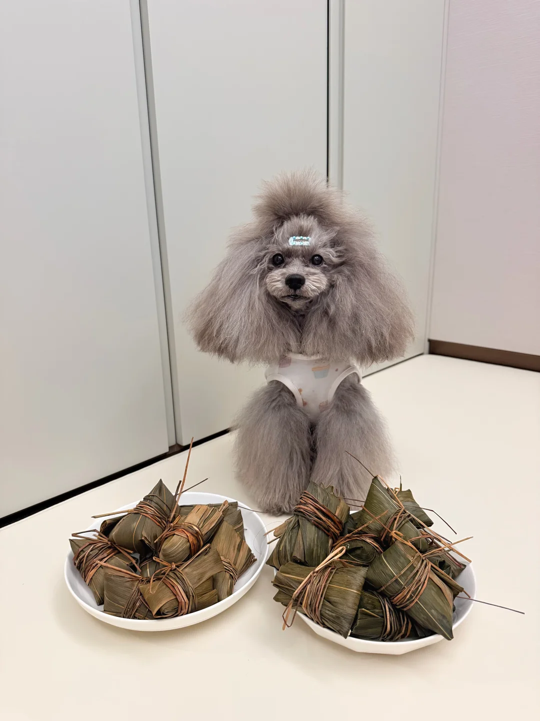 小多的端午粽子