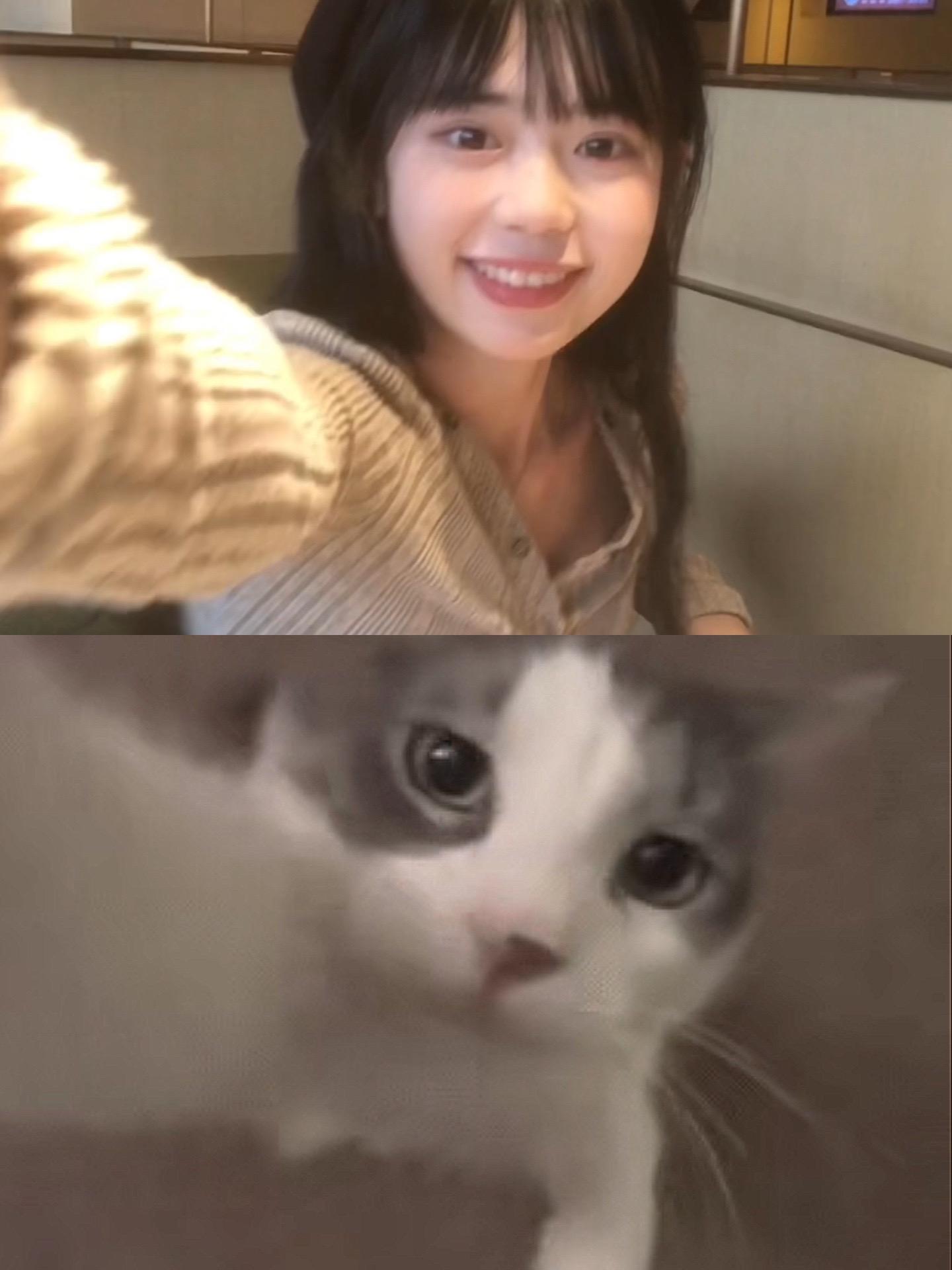 猫猫教。