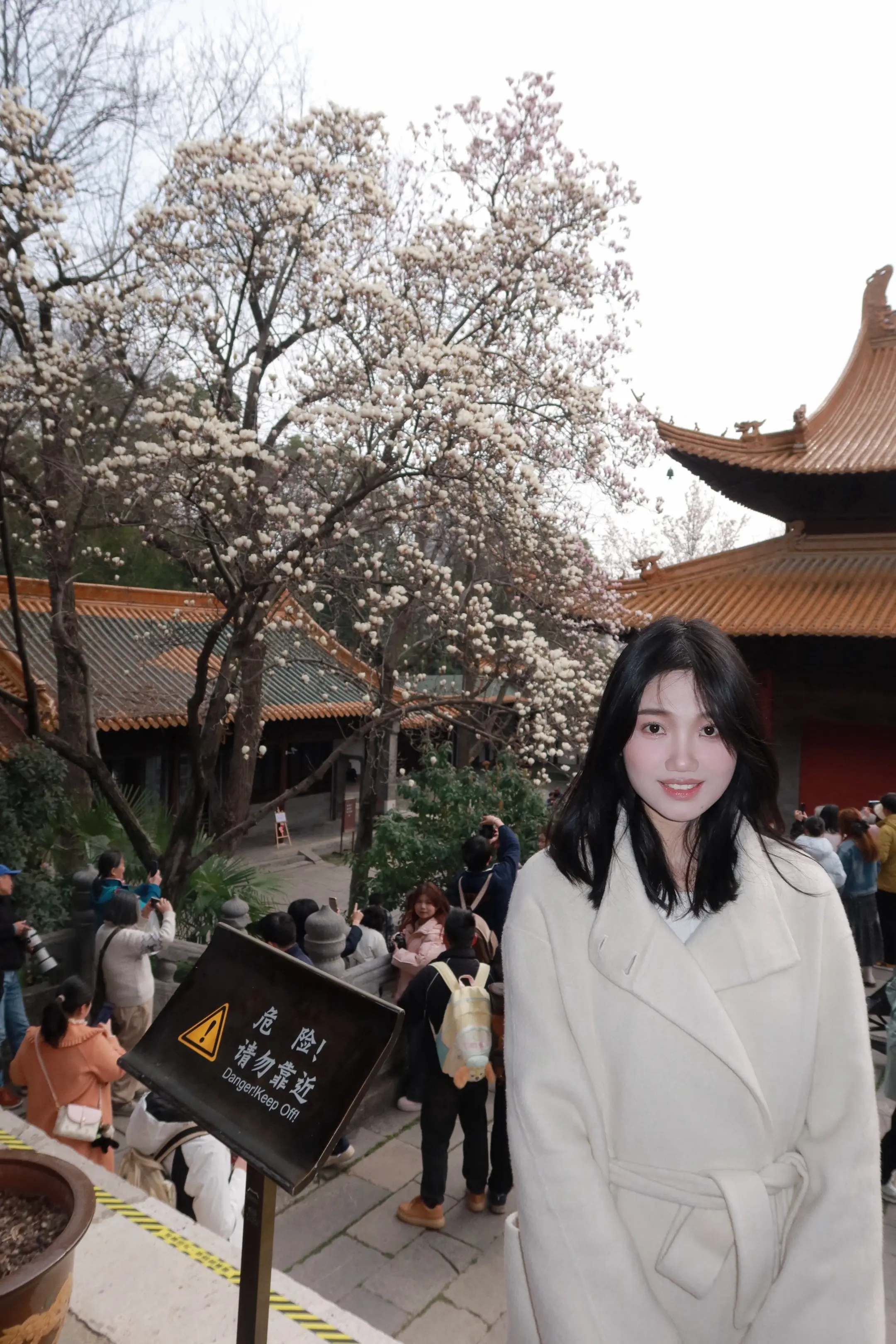 赶在下雨前去看花啦。