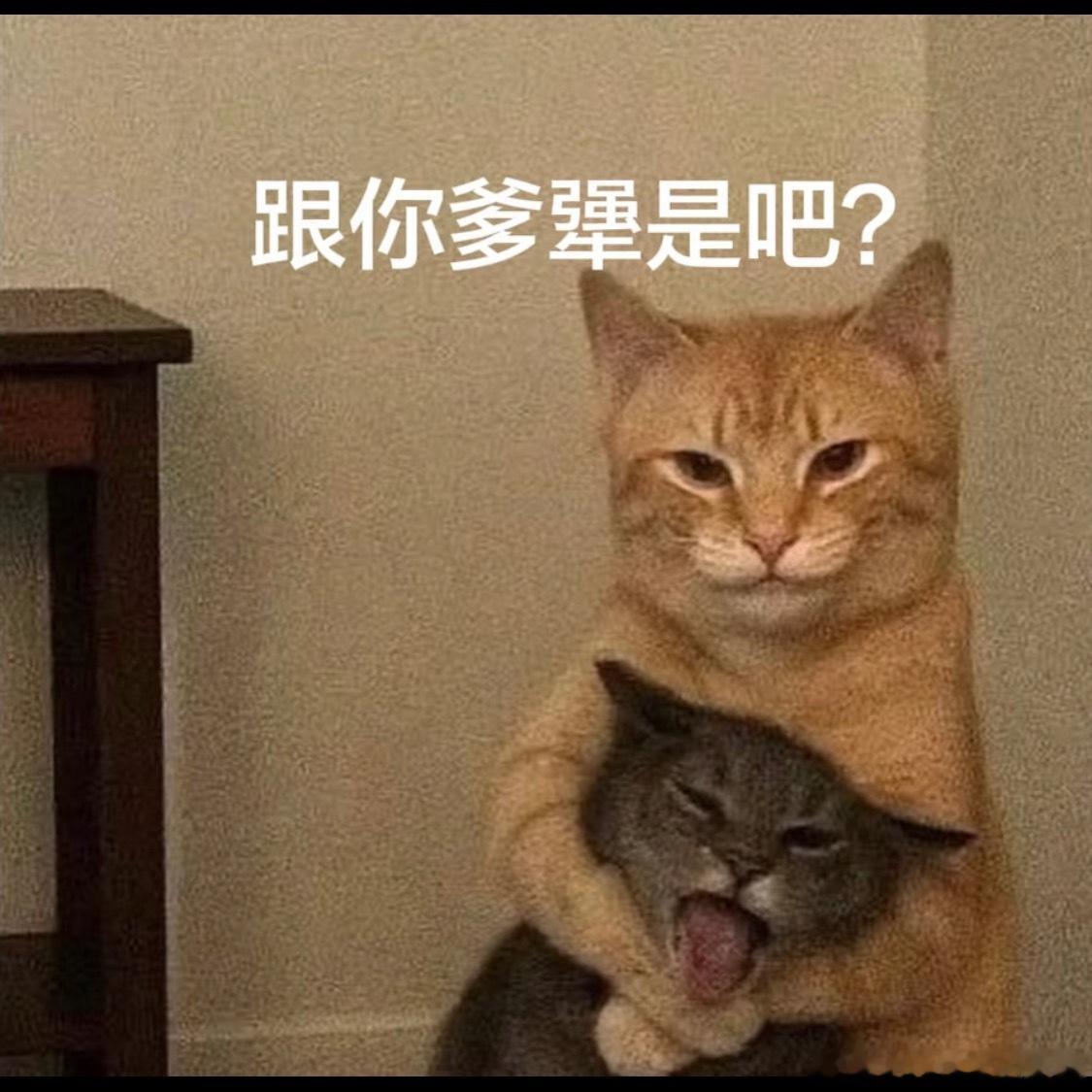 番位一刀切的闹剧，最该骂的难道不是提出执行的人吗？脑子被门夹了才会要求执行如此缺