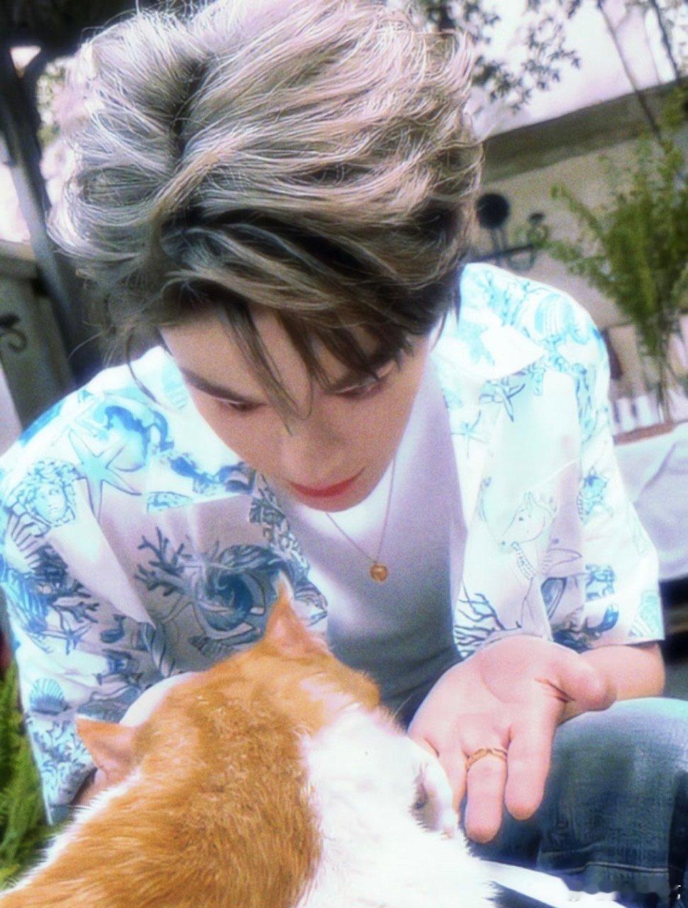 田曦薇丁禹兮猫塑这块 猫塑的精髓被他俩狠狠拿捏了！灵动时像甩着尾巴的狸花，沉静时