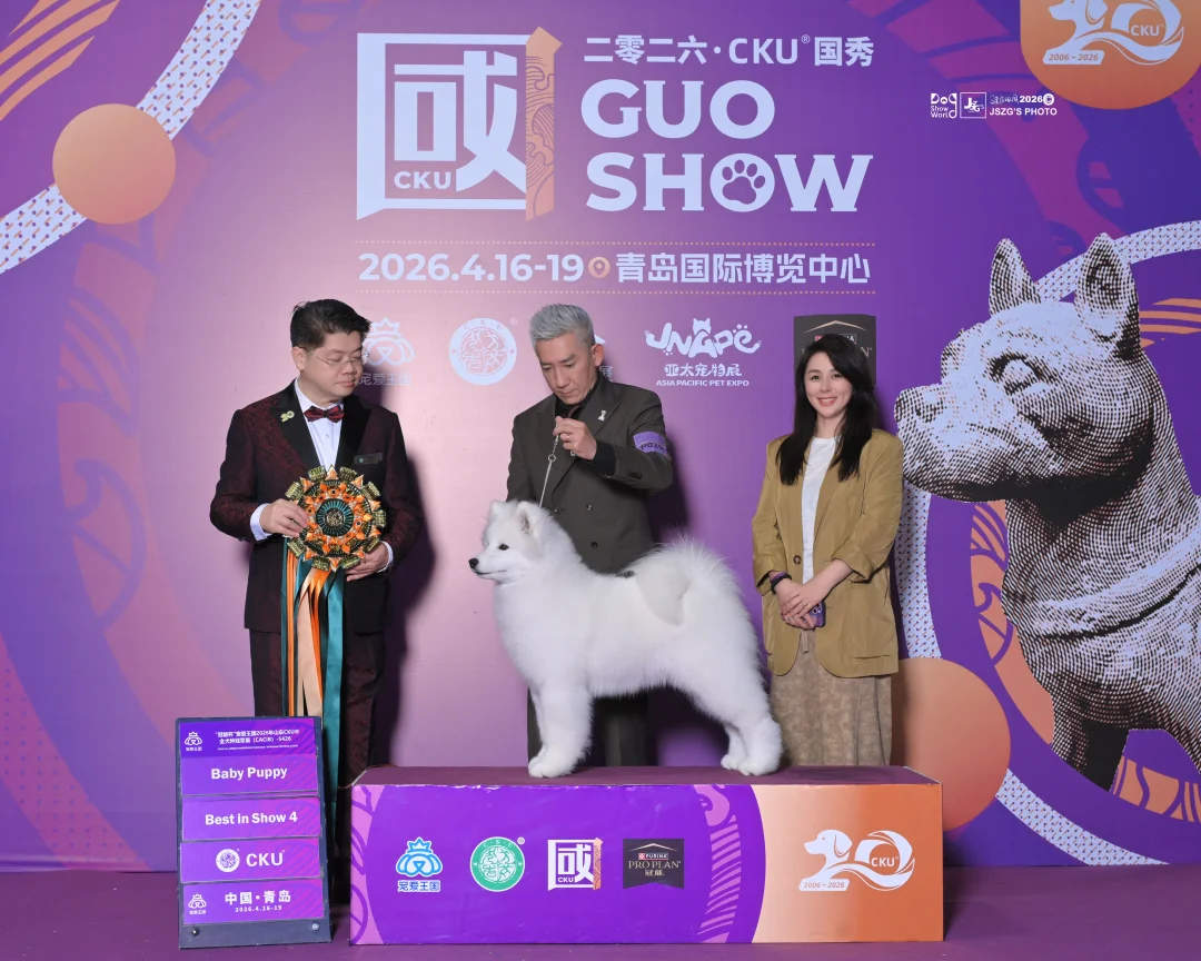 2026 CKU国秀：国秀第一天升到Puppy组小将“星辰”，首秀获得...