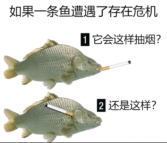 存在主义定义：恐惧：对死亡的把握。焦虑：自由带来的眩晕。绝望：对生活的绝望。危机