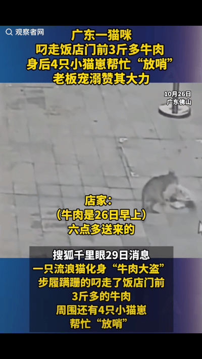 “活该发财！”广东一饭店店主订了3斤半牛肉，因当时店主没在，就让其放在了门口，结