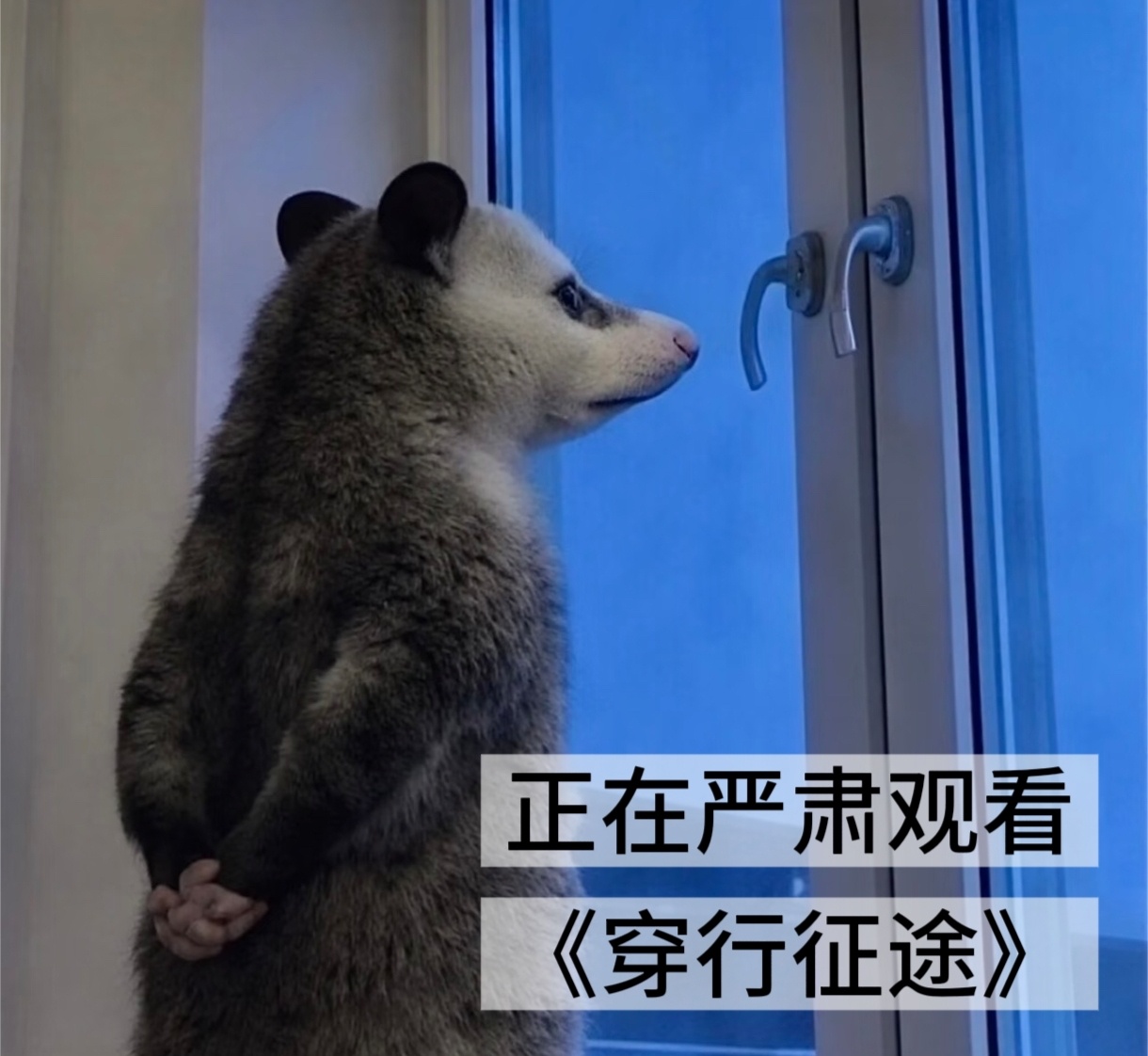 陈楚生也有摩托车情结 从修车铺到世界赛场，张雪的机车梦够燃；陈楚生藏着的摩托情结