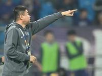 天津津门虎战胜山东泰山？？？
今晚20:00，中超第7轮，主场作战的津门虎能否延