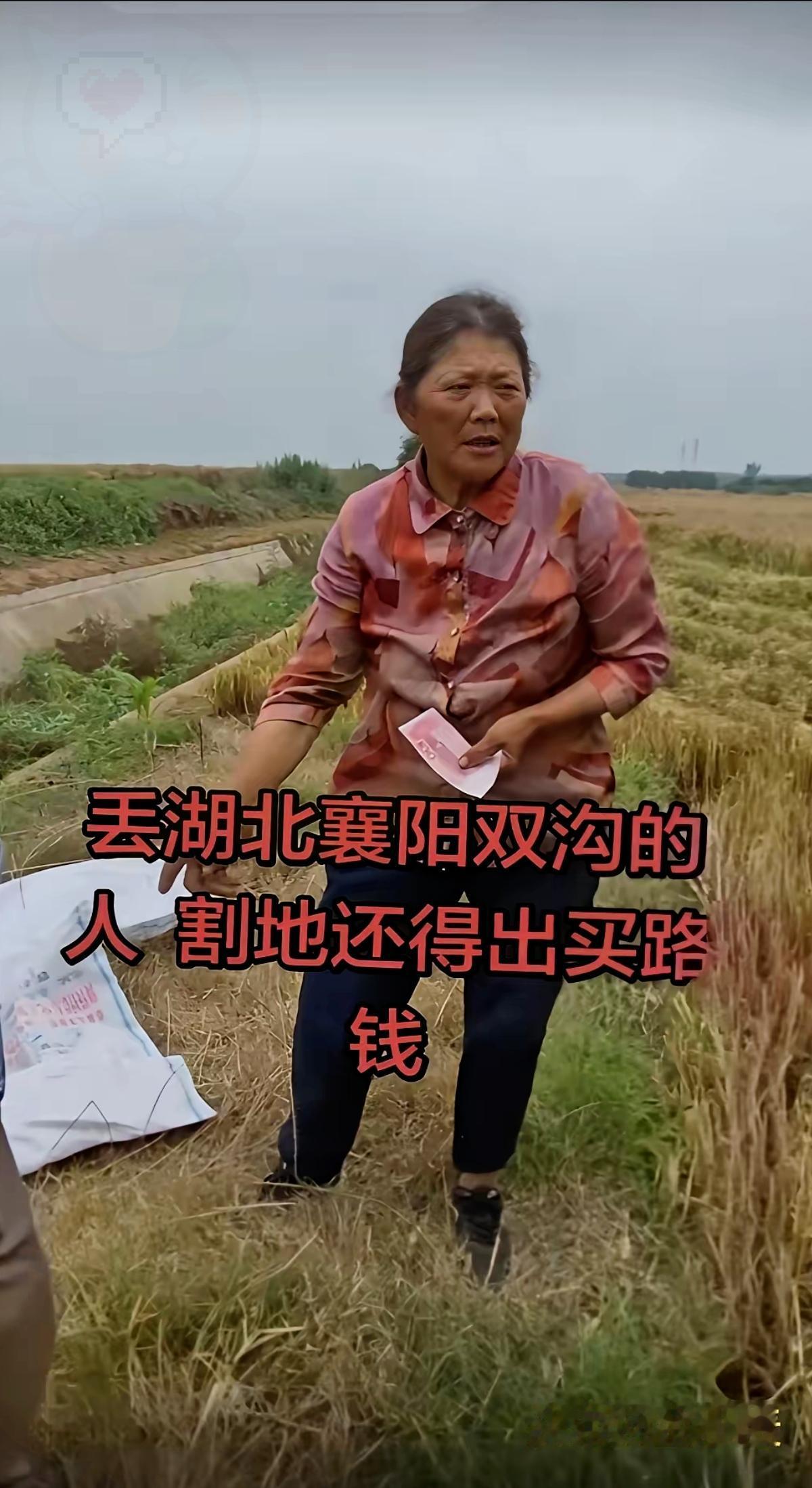 新词“割四赔五”爆火！一人搞垮整个村镇口碑值吗？
 
        今年麦收最