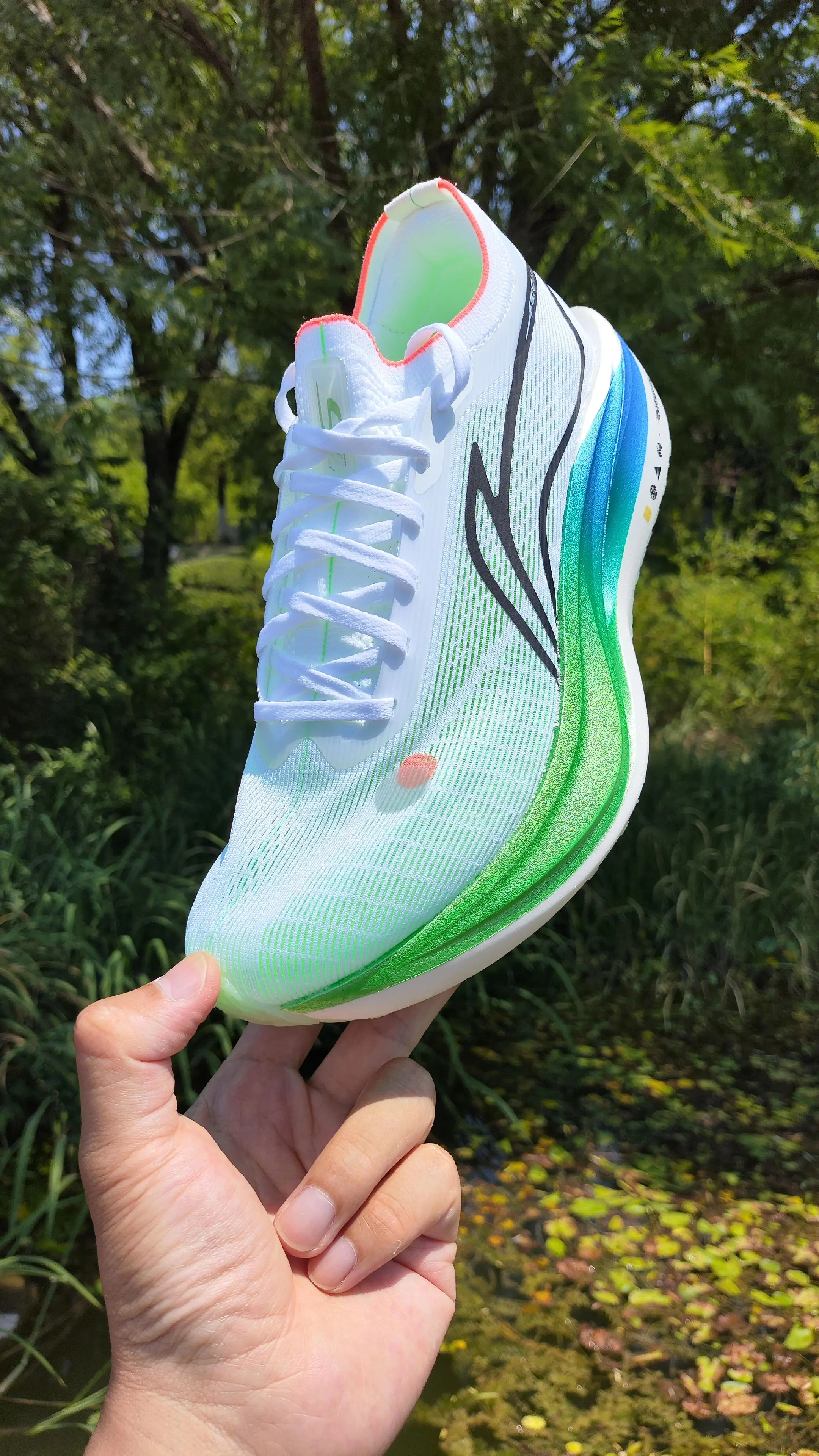 一句话点评一下大迫杰“同款”【飞电5E】