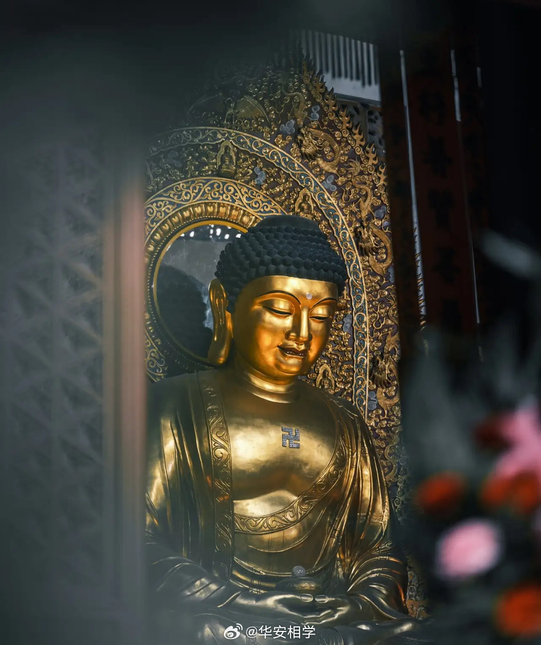【许愿池第1522期】许愿祈福的时候到了，心诚则灵，有求必应🙏🙏🙏 