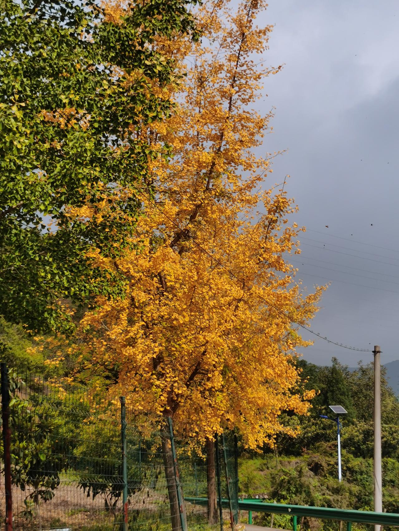 秋天，褒河，晚霞。