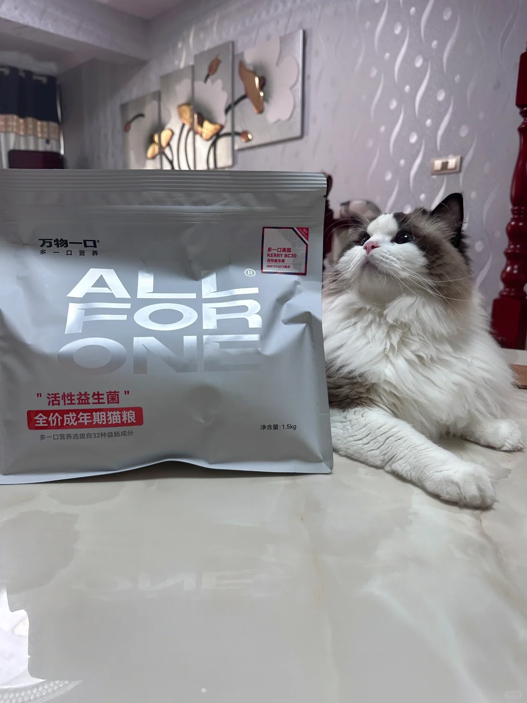 真的建议布偶猫都来吃这个