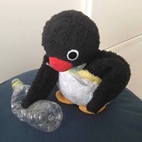 卷毛谈谈美女