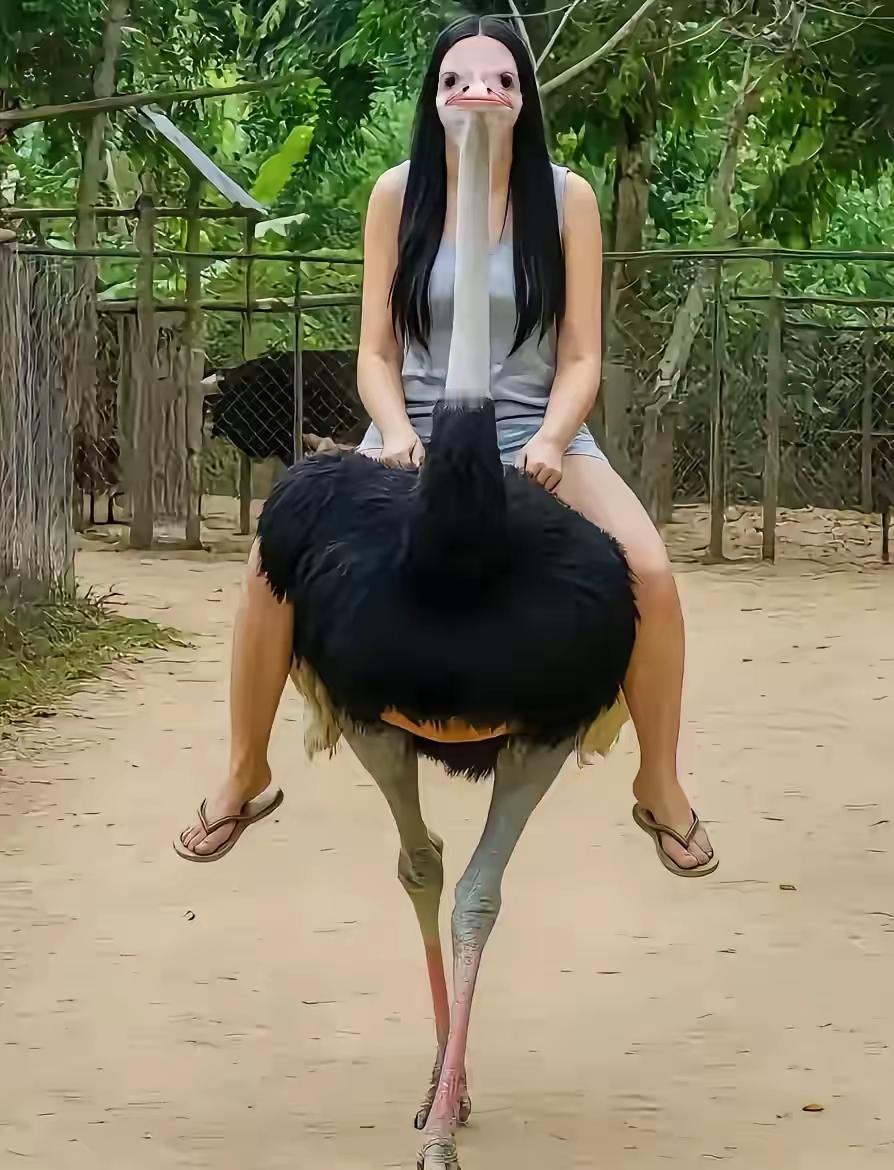嗨：有这么照相的吗？
竟然拍出了和鸵鸟的合二为一，太恐怖了，你老公这家伙也够损的