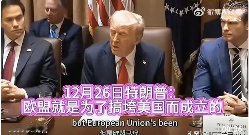 12月26日，美国总统特朗普称，“欧盟就是为了整垮美国而成立的。”
 
12月2