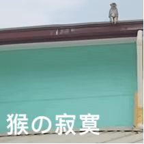 早晨某哥坐起来迷迷瞪瞪的给我说“我感觉我哪儿哪儿都疼！嗓子又痒又疼”我“那你哪儿
