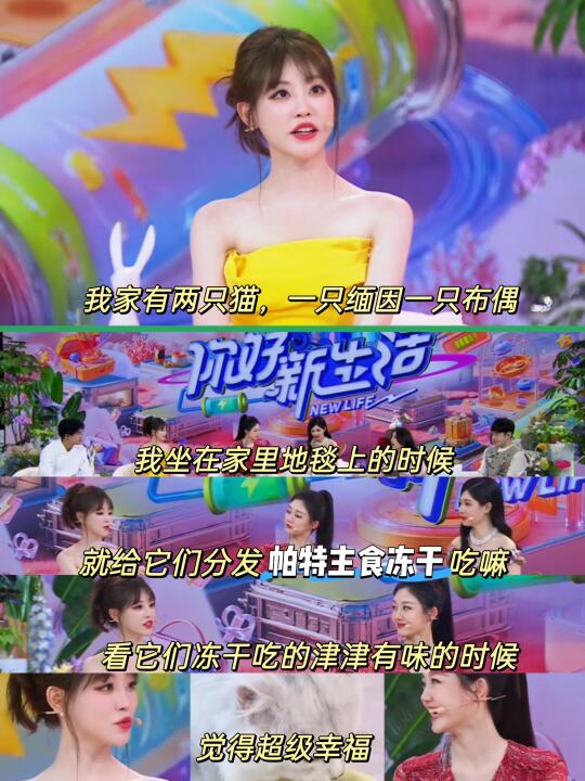 开心，和祝祝喂的同一款冻干